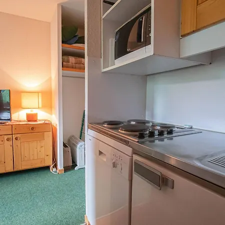 Apartment 2 Pieces Proche Pistes Avec Balcon, Animaux Acceptes - Fr-1-356-512
